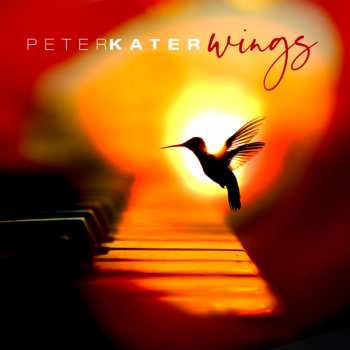Album Peter Kater: Wings