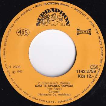 SP Petr Rezek: Rock Kolem Roku / Kam Tě Spánek Odvádí