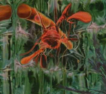 Album Peverelist: Jarvik Mindstate