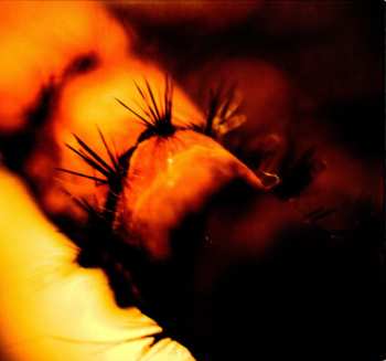 CD Philip Clemo: Mesmer