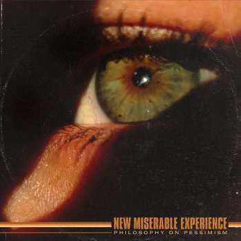 Album New Miserable Experience: Philosophy on Pessimism
