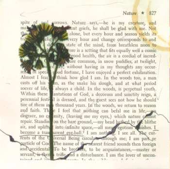 CD Photon Band: Oh, The Sweet, Sweet Changes