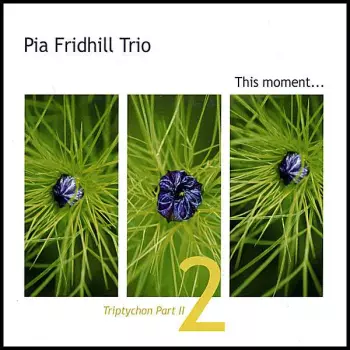 Pia Fridhill Quartet: Triptychon Part 2: This Moment