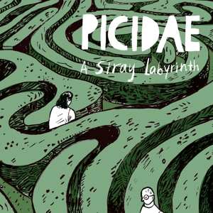 Album Picidae: A Stray Labyrinth