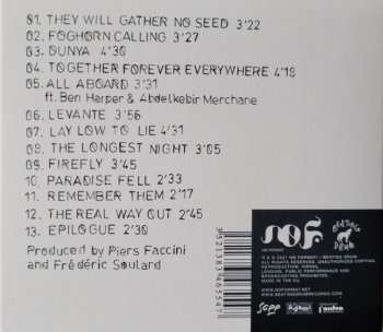CD Piers Faccini: Shapes Of The Fall DIGI 318766