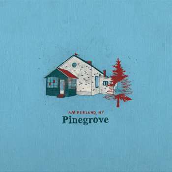 Album Pinegrove: Amperland, NY