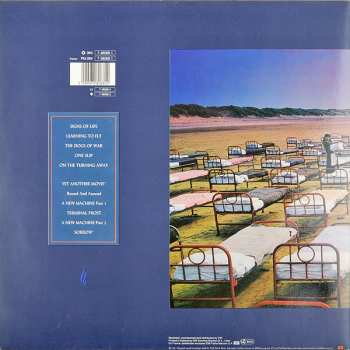 LP Pink Floyd: A Momentary Lapse Of Reason 508281
