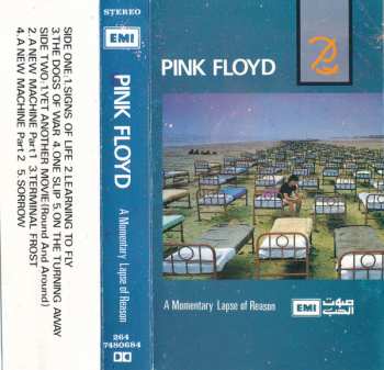 MC Pink Floyd: A Momentary Lapse Of Reason