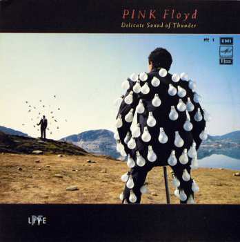 LP Pink Floyd: Delicate Sound Of Thunder № 1