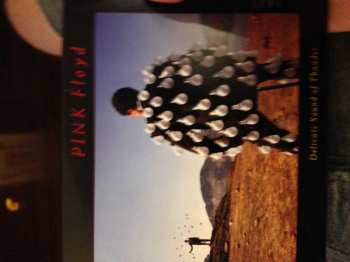 2CD Pink Floyd: Delicate Sound Of Thunder DIGI