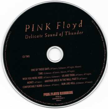 2CD Pink Floyd: Delicate Sound Of Thunder 9331