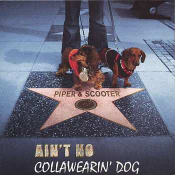 Album Piper & Scooter: Ain't No Collawearin' Dog