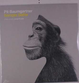 Album Pit Baumgartner: Sample Selfie