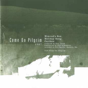 CD Pixies: Best Of Pixies (Wave Of Mutilation) 39647
