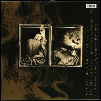 LP Pixies: Come On Pilgrim 7616