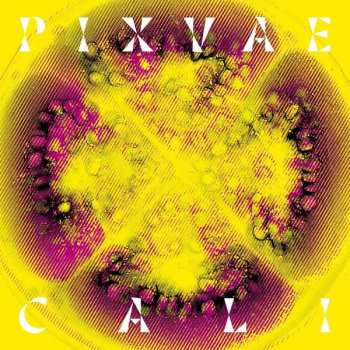 Album Pixvae: Cali