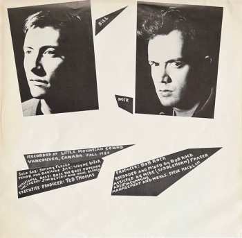 LP The Pointed Sticks: Perfect Youth