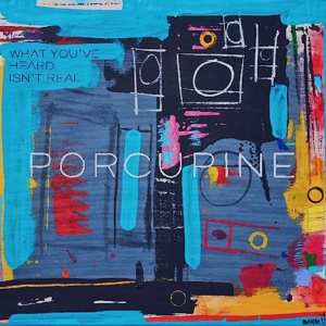 CD Porcupine: What You've Heard Isn't Real 96589