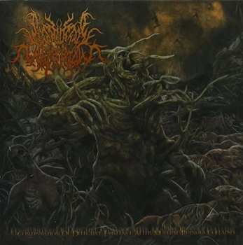 Album Postcoital Ulceration: Continuation Of Defective Existence After Multiple Ruinous Collapses