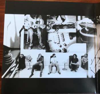 LP Powderfinger: Double Allergic CLR