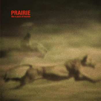 Album Prairie: Like A Pack Of Hounds