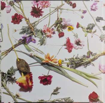 LP Prince And The Revolution: Purple Rain LTD | NUM