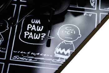 Audiotechnika Pro-Ject ART - Peanuts Turntable OM10