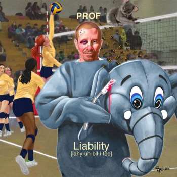 Prof: Liability
