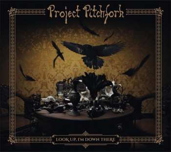 Project Pitchfork: Look Up, I'm Down There