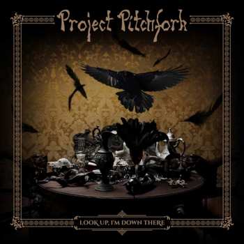 CD Project Pitchfork: Look Up, I'm Down There 268900