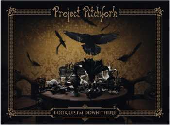 2CD/Box Set Project Pitchfork: Look Up, I'm Down There 262786