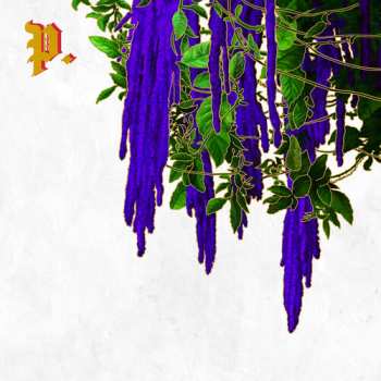 CD Proper.: The Great American Novel