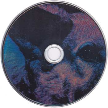 CD Protomartyr: Under Color Of Official Right 446456