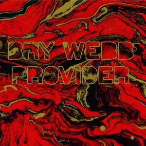Album Bry Webb: Provider