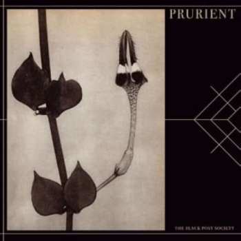Album Prurient: The Black Post Society