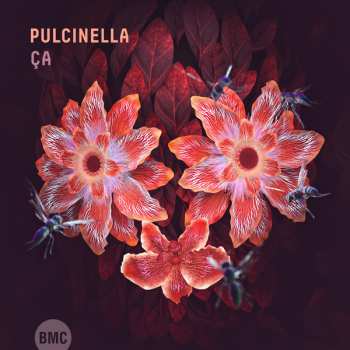 Album Pulcinella: Ça