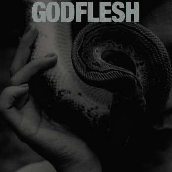 Album Godflesh: Purge