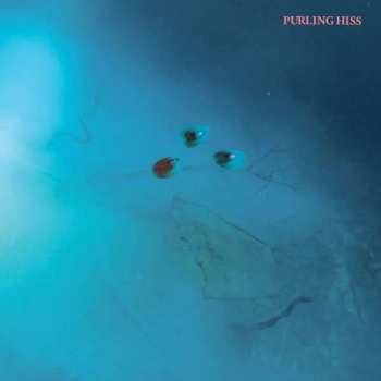 Album Purling Hiss: High Bias
