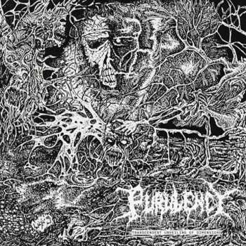 CD Purulency: Transcendent Unveiling of Dimensions
