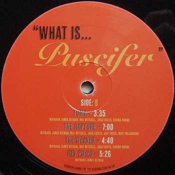 2LP Puscifer: What Is... Puscifer 348299