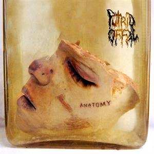Album Putrid Offal: Anatomy