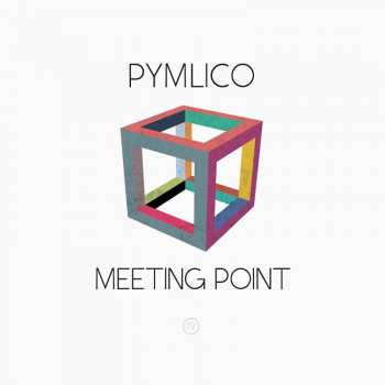 Album Pymlico: Meeting Point