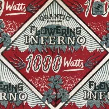 Album Quantic: 1000 Watts