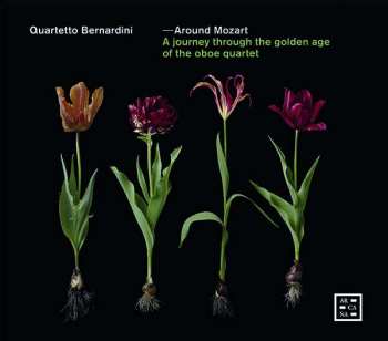 Album Quartetto Bernardini: Around Mozart (A Journey Through The Golden Age Of The Oboe Quartet)
