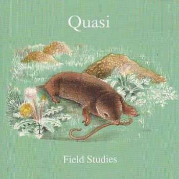 Quasi: Field Studies