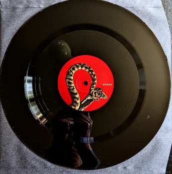 2LP Queens Of The Stone Age: In Times New Roman... 511484