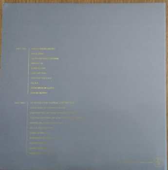 2LP Ra Ra Riot: The Rhumb Line CLR | DLX | LTD