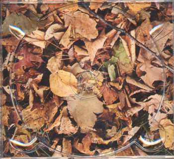 CD Rachael Sage: Haunted By You