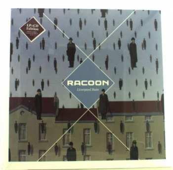 Racoon: Liverpool Rain