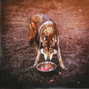 LP Rag'n'Bone Man: Wolves 75574